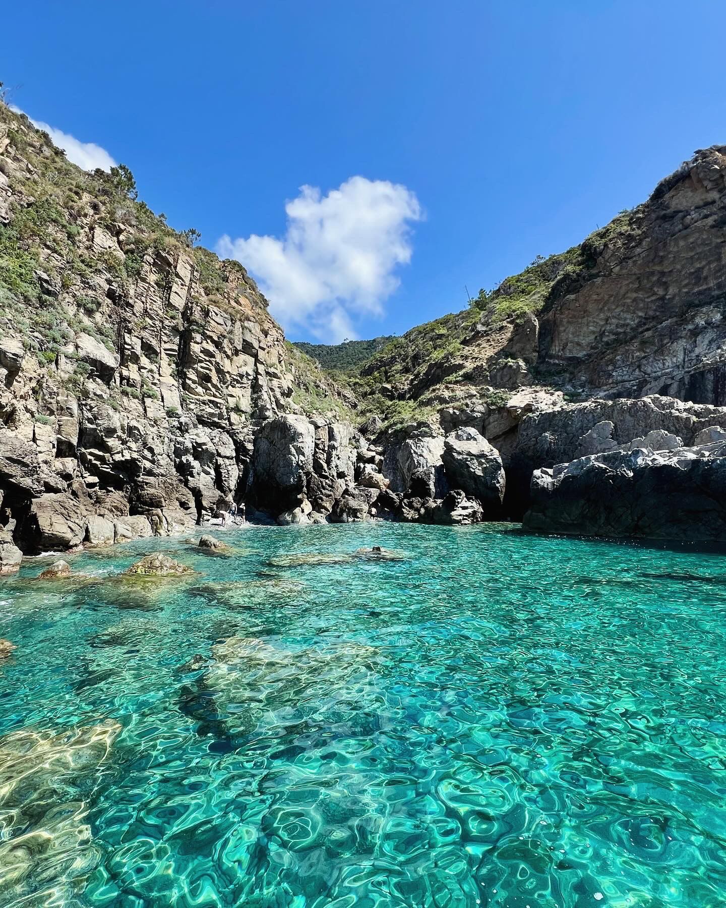 Portofino: Tour in barca con Snorkeling a San Fruttuoso