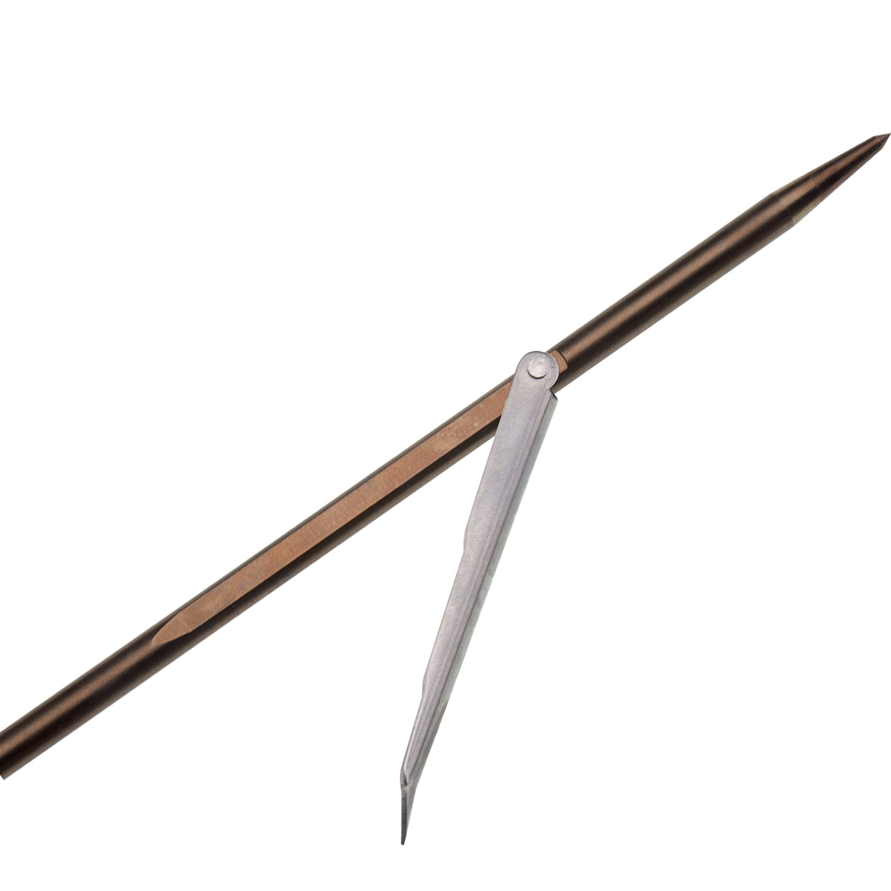 Asta Capture 1 Aletta