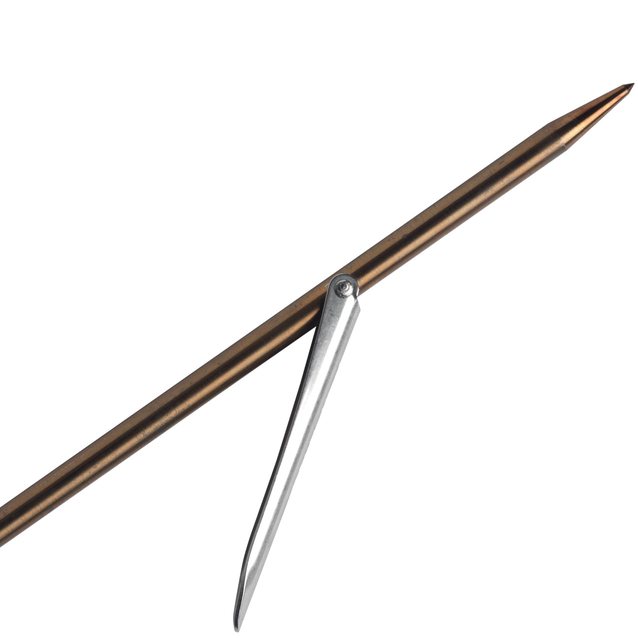 Asta Tahit. tacche 1 Aletta