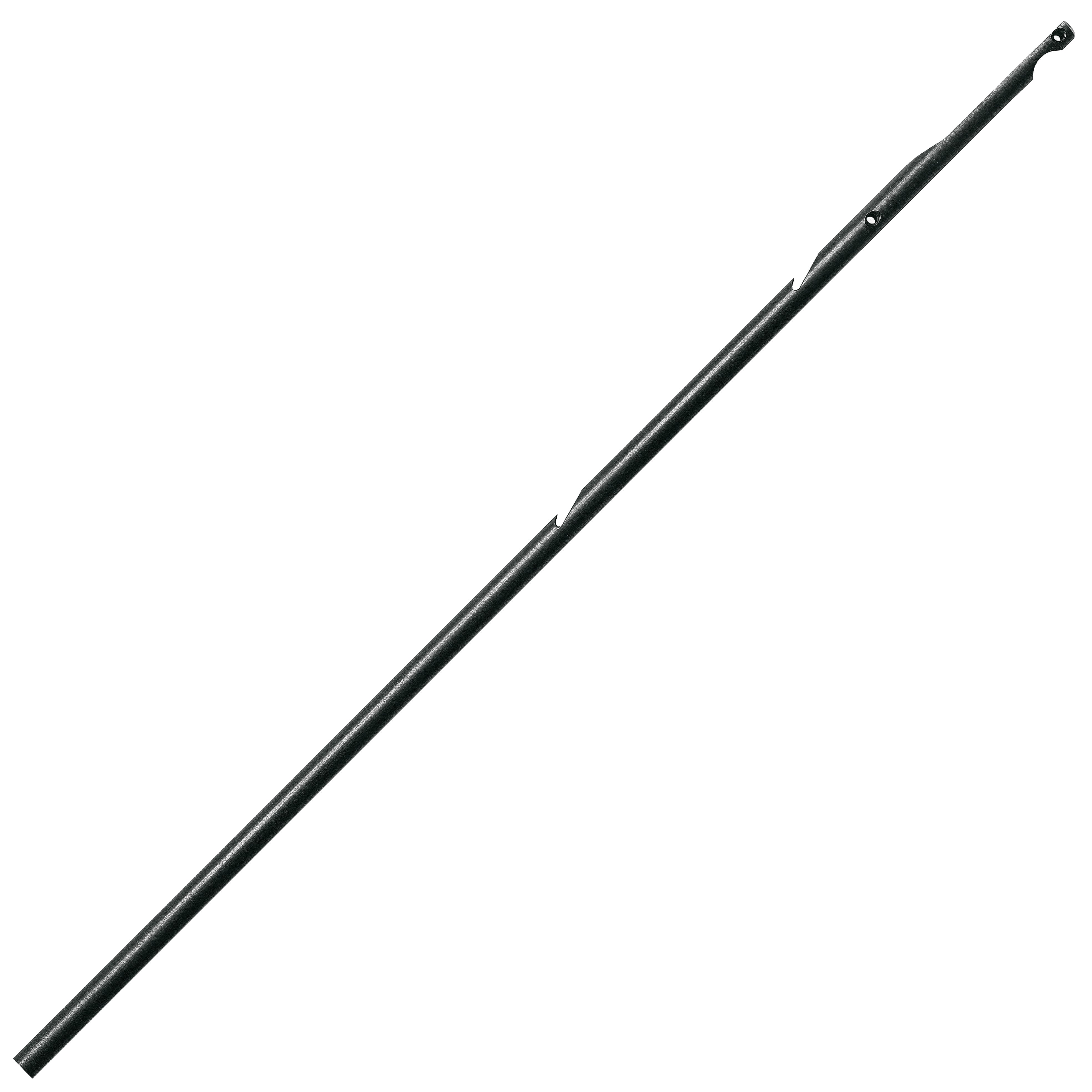 Asta Tahit. Black Shaft
